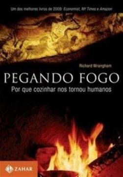 Imagem de PEGANDO FOGO