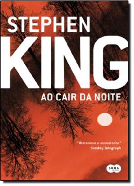 Picture of AO CAIR DA NOITE