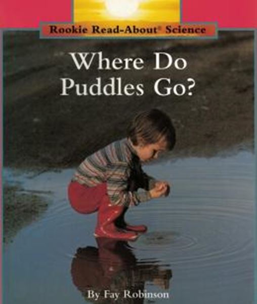 Picture of WHERE DO PUDDLES GO