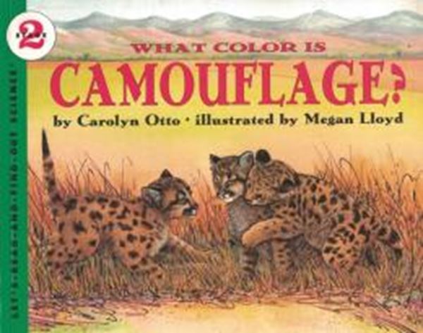 Picture of WHAT COLOR IS CAMOUFLAGE?