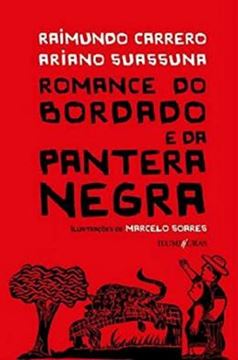 Imagem de ROMANCE DO BORDADO E DA PANTERA NEGRA