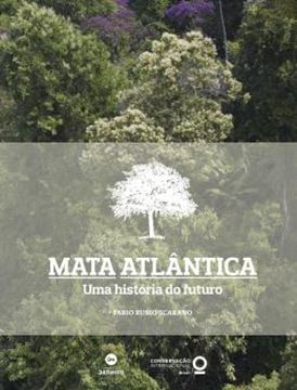 Imagem de MATA ATLANTICA