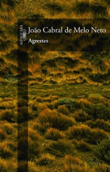 Picture of AGRESTES