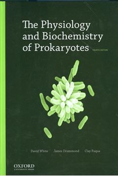 Imagem de PHYSIOLOGY AND BIOCHEMISTRY OF PROKARYOTE, THE - 4TH EDITION