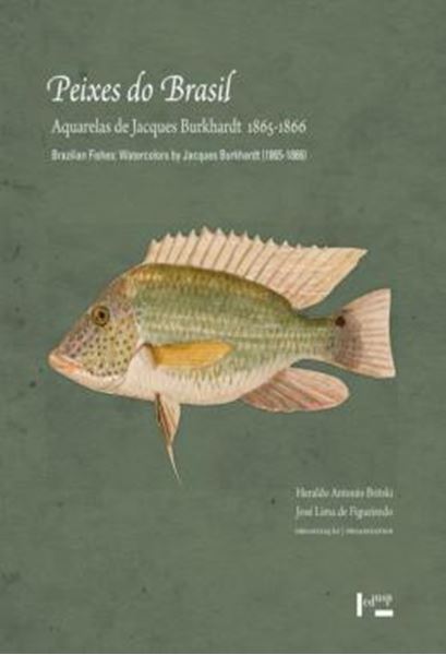 Picture of PEIXES DO BRASIL - AQUARELAS DE JACQUES BURKHARDT (1865-1866) - BRAZILIAN FISHES - WATERCOLORS BY JACQUES BURKHARDT (1865-1866)