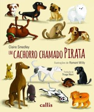 Imagem de UM CACHORRO CHAMADO PIRATA