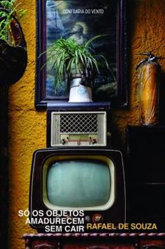 Imagem de SO OS OBJETOS AMADURECEM SEM CAIR 