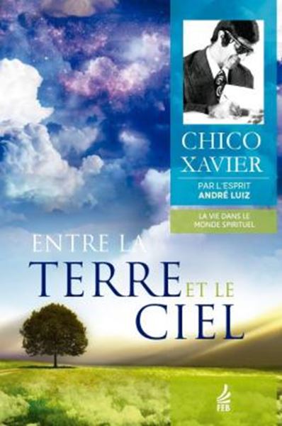 Picture of ENTRE LA TERRE ET LE CIEL