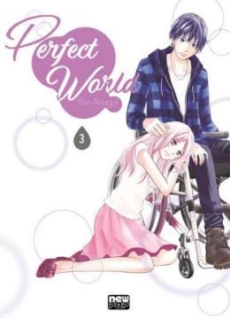 Imagem de PERFECT WORLD - VOLUME 3