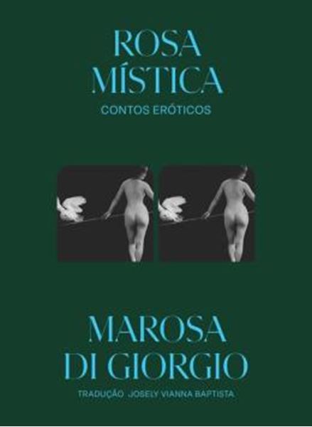 Picture of ROSA MISTICA