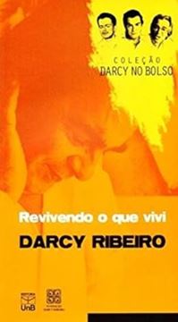 Imagem de REVIVENDO O QUE VIVI - VOLUME 4 - COLECAO DARCY NO BOLSO