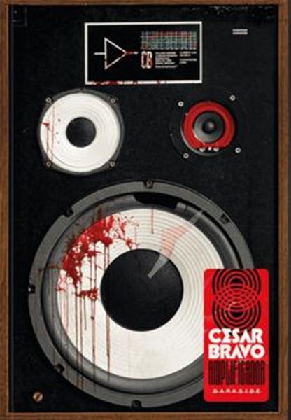 Picture of AMPLIFICADOR