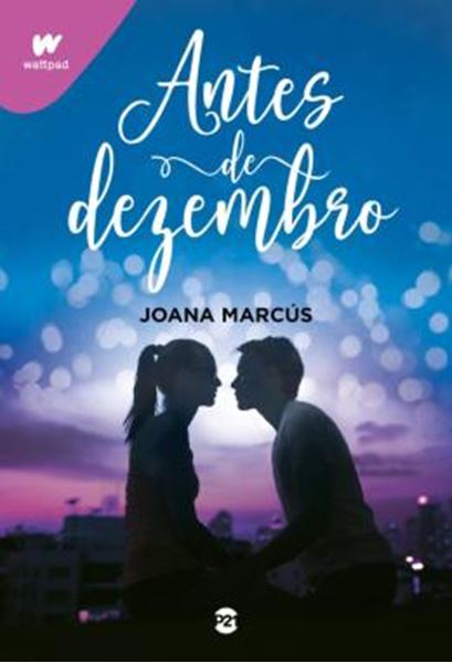 Picture of ANTES DE DEZEMBRO