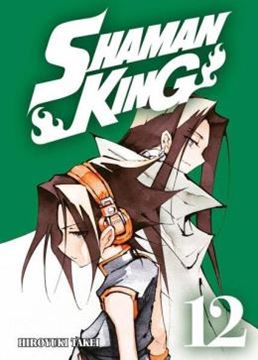 Imagem de SHAMAN KING BIG VOL. 12