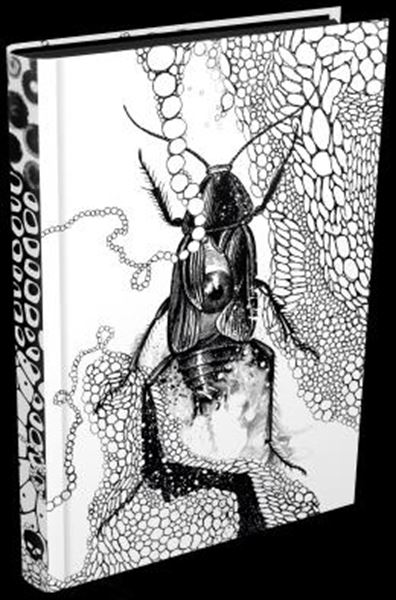 Picture of A METAMORFOSE