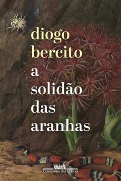 Picture of A SOLIDAO DAS ARANHAS