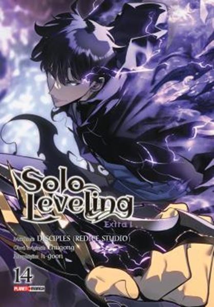 Picture of SOLO LEVELING 14